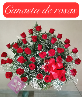 Especial Envia Flores